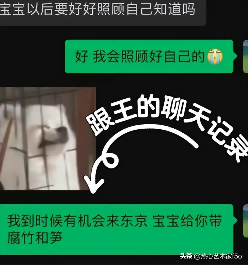 小羽官宣与王思聪分手，获网友心疼！聊天记录曝光王思聪真实心态