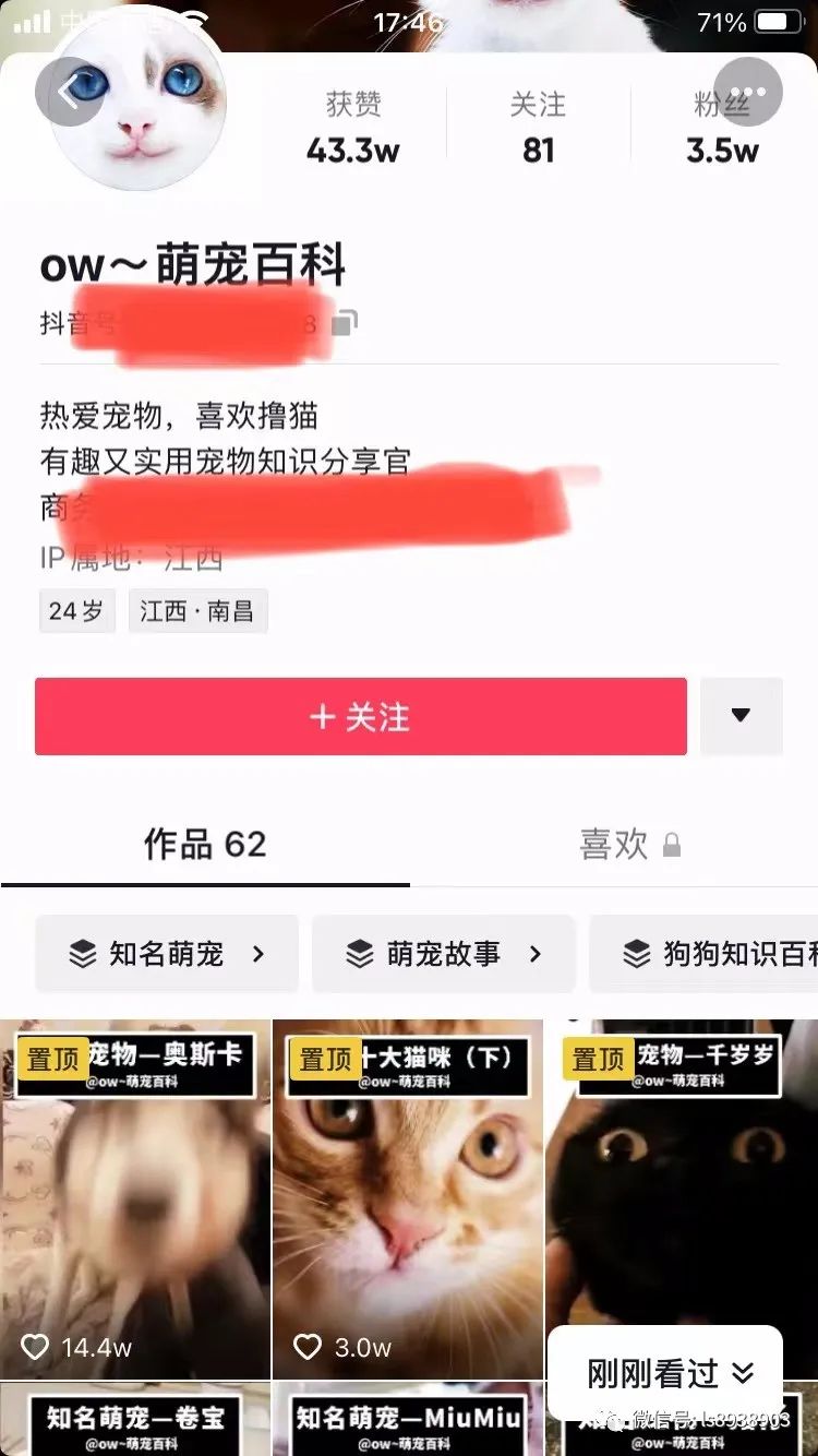 日入800+ 新手无脑搬运中视频合集项目