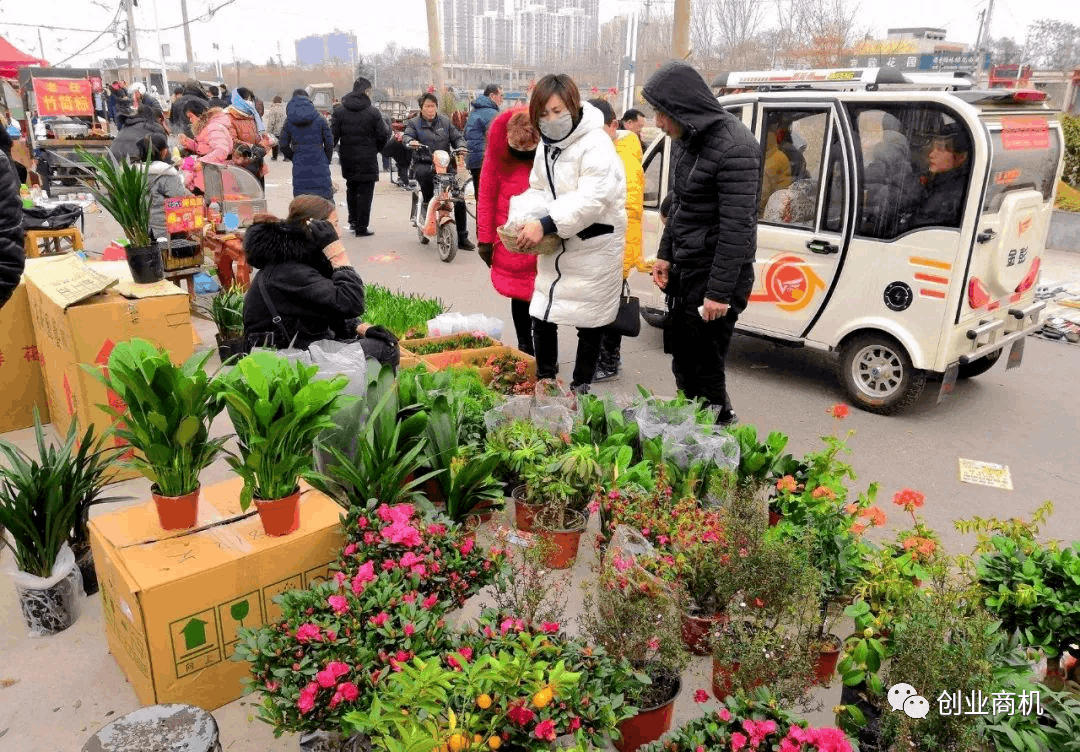 春节暴利小生意，收入5-30万，比打工可强太多了！