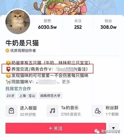 普通人也能做的抖音图文项目流量扶持月入过万