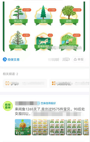 蚂蚁森林种树服务：0元投入，简单又好做收入过万！