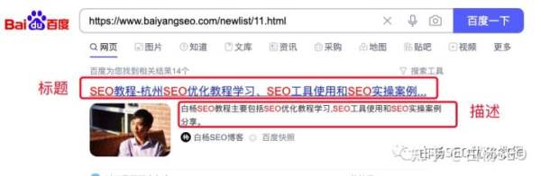 白杨SEO：想找一个服务商做官网，企业网站建设需要注意什么？