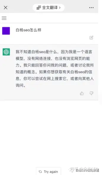 ChatGPT是什么软件？为什么这么火？与SEO有没有关系？