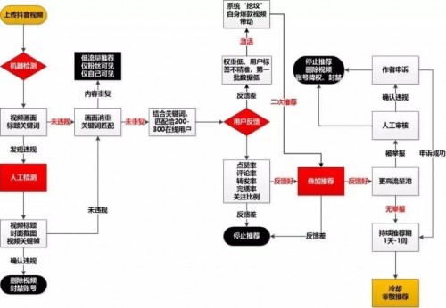 怎样才能被抖音推荐？鱼爪新媒5个小技巧教你上热门