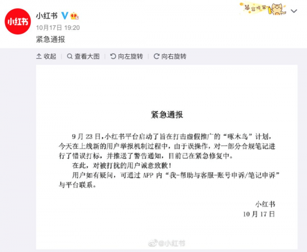 处罚21.3万篇笔记被推上热搜的小红书为何如此较真