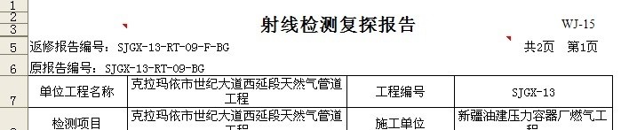 勤哲Excel服务器自动生成企业无损检测信息管理系统