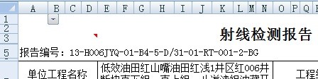 勤哲Excel服务器自动生成企业无损检测信息管理系统