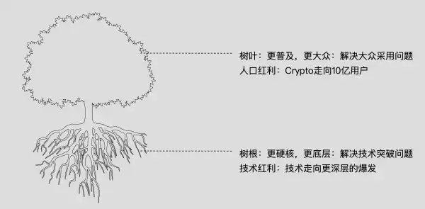 ABCDE Capital联创BMAN：我的「根叶投资哲学」