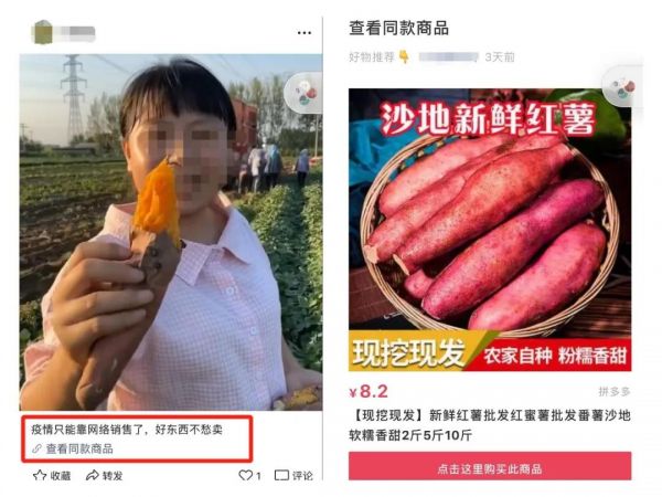 4个方向 10个案例 视频号变现指南