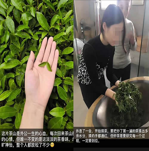 “微信卖茶叶”特大网络诈骗被查获