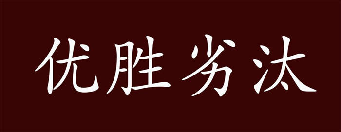 冬天来了，春天还会远吗？