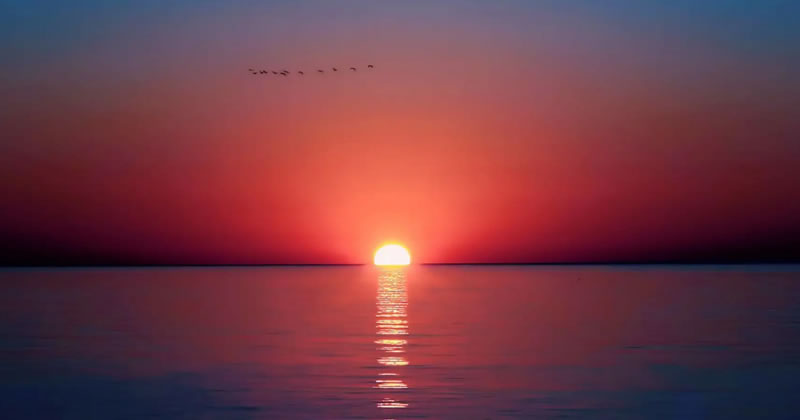 夕阳下的域名还能和AI擦出火花吗？