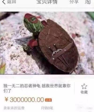 淘宝上毁三观的奇葩商品