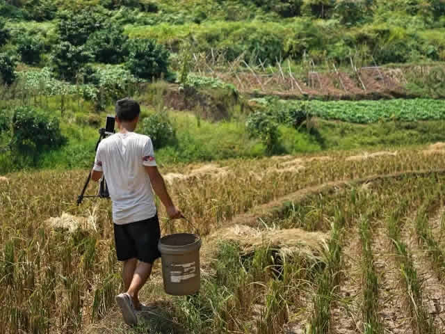 金牛：一个草根小视频达人寻找外面世界的信号