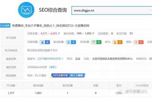 站长创业真实经历分享：SEO+八字项目月入过万