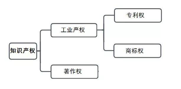 用知识产权保护项目，构建产品的护城河