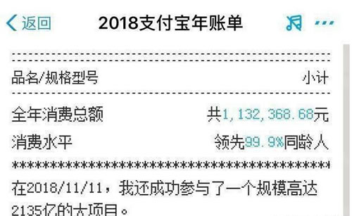 2018支付宝账单，首富总消费1亿六千万，网友称：土豪