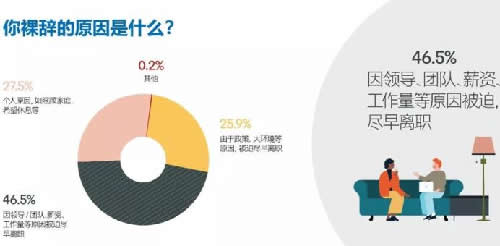 2019年，互联网职场给我的教训