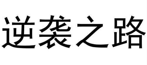 逆袭之道——就在其中