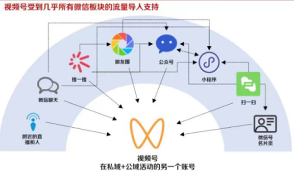 视频号的优势，视频号适合普通人做的类型