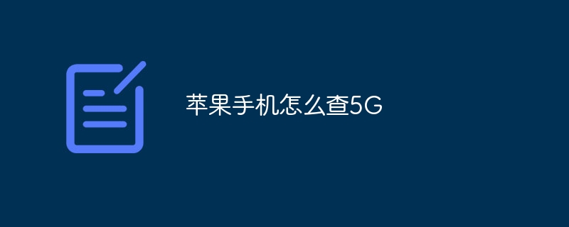 苹果手机怎么查5G
