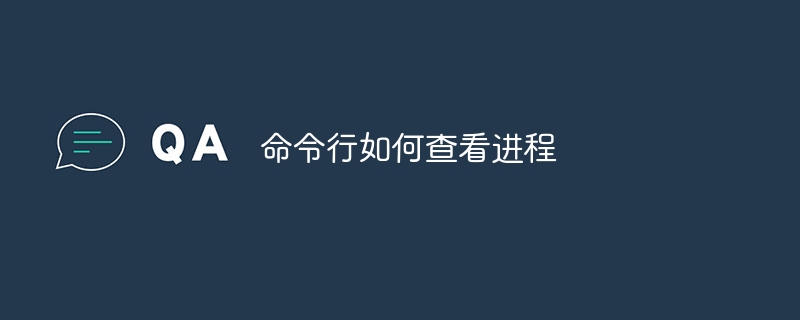 命令行如何查看进程