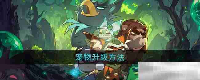 《迷雾大陆》宠物升级方法
