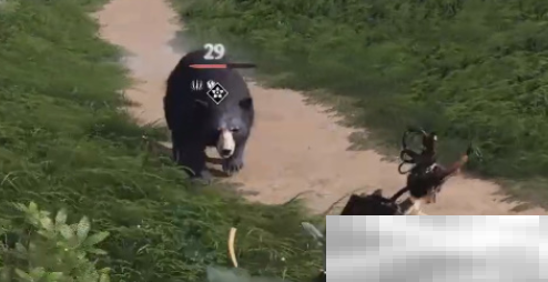《燕云十六声》英雄救美完成攻略