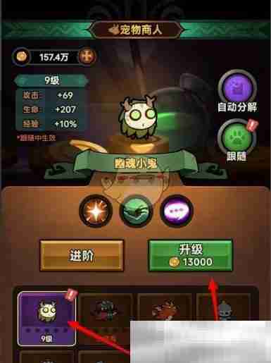 《迷雾大陆》宠物升级方法