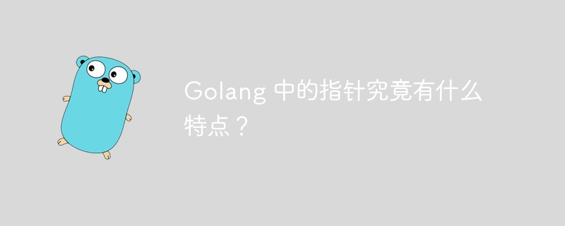 Golang 中的指针究竟有什么特点？