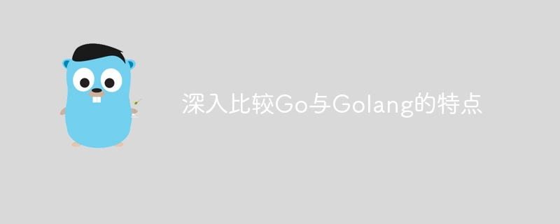 深入比较Go与Golang的特点