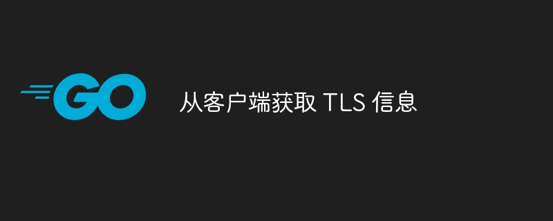 从客户端获取 TLS 信息