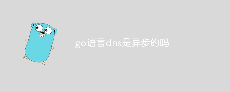 go语言dns是异步的吗