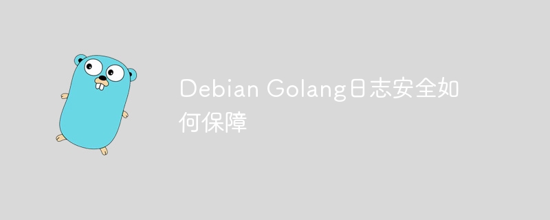Debian Golang日志安全如何保障