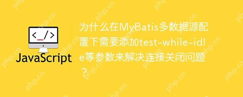 为什么在MyBatis多数据源配置下需要添加test-while-idle等参数来解决连接关闭问题？