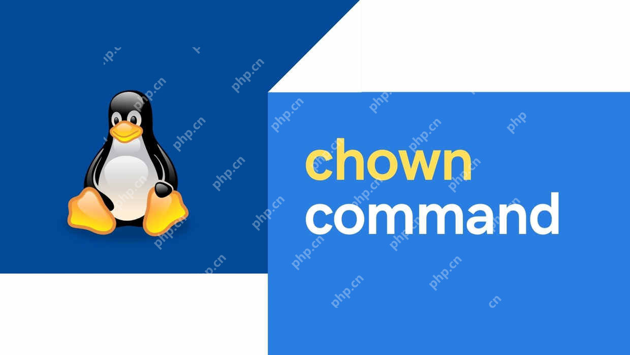 Linux更改文件和目录的所有权经常使用的命令：chown 和 chgrp