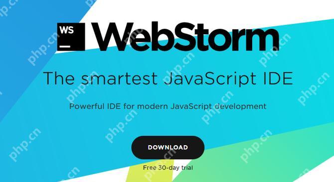 解决WebStorm启动缓慢的问题及优化策略