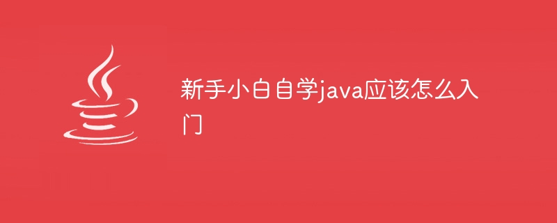 新手小白自学java应该怎么入门