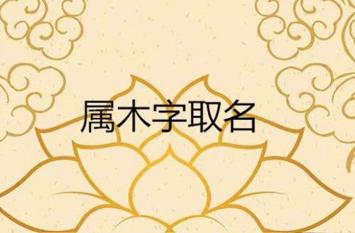 五行属木的字有哪些