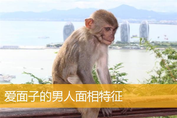 爱面子的男人面相特征