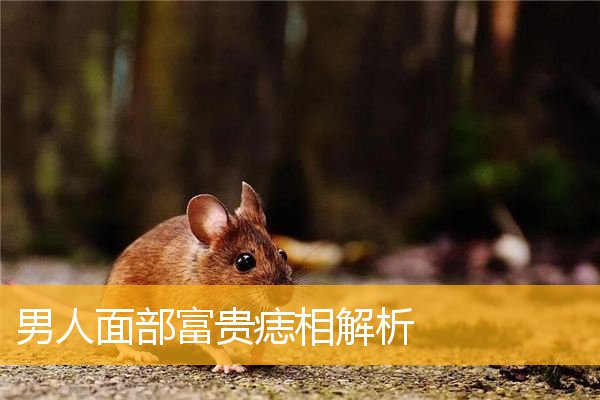 男人面部富贵痣相解析