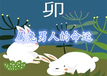 属兔的男人命好不好