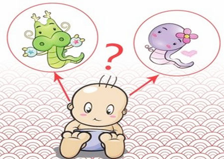 蛇和龙的属相合不合 - 蛇和龙婚配怎么样