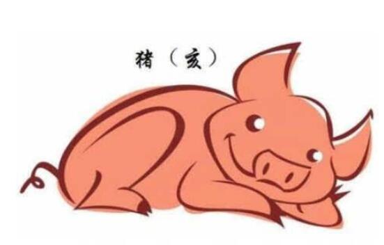 属猪的人命运好不好 - 属猪人几月出生命运好