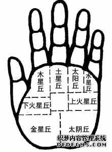 掌丘手相-主丘的确定,八大掌丘手相