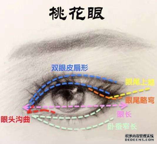 宝桃花眼面相分析：什么是桃花眼？桃花眼有哪些特征？