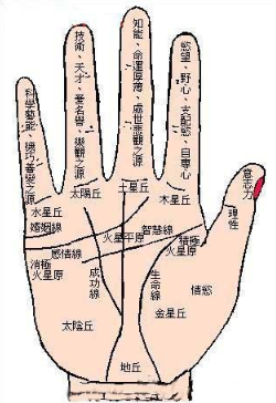 生命线图解：生命线长短的不同预兆。