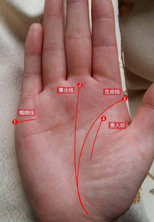 感情线与年龄段：“婚姻线”的位置与结婚年龄的关系。