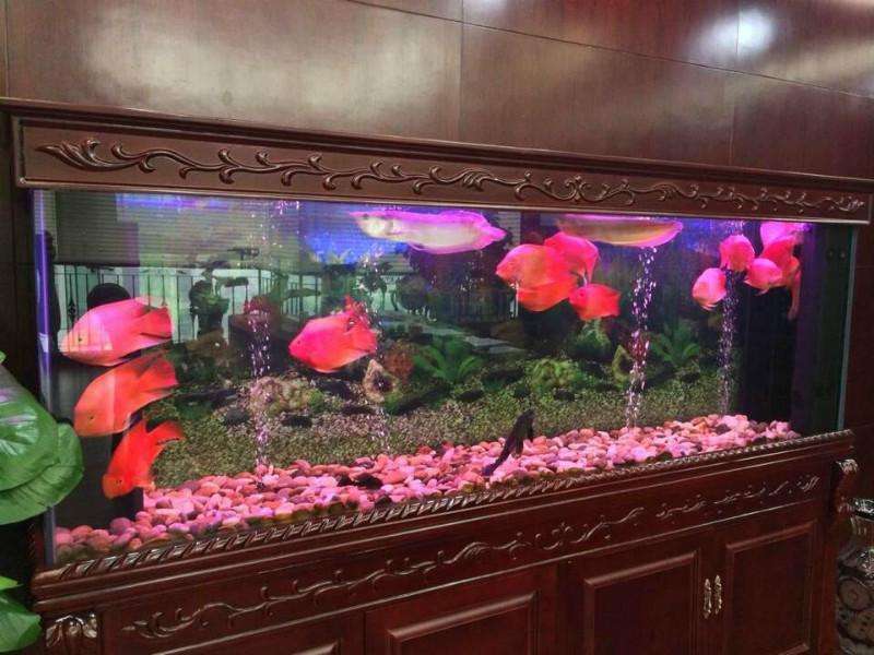 一般人我不告诉他，招财风水绝密技巧
