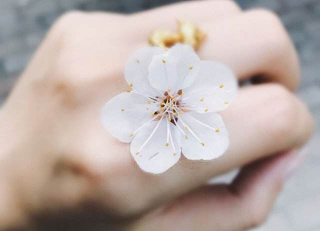 招桃花风水知识 增加桃花运的五个方法